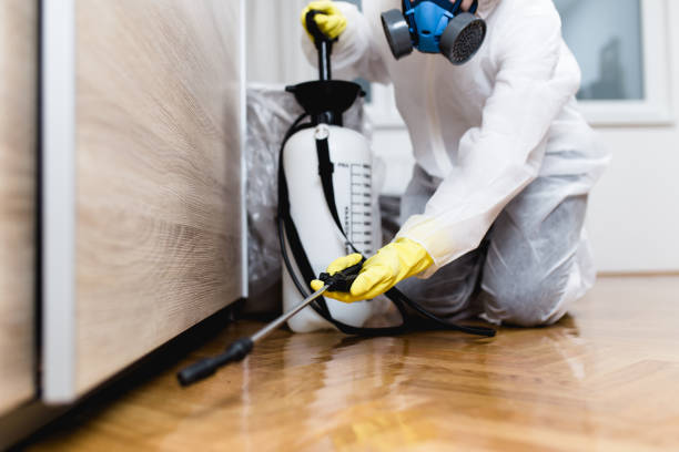 Best Residential Pest Control  in Westbrook, ME