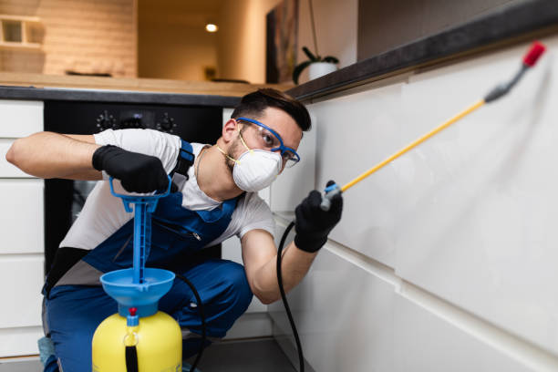 Best Pest Control Near Me  in Westbrook, ME