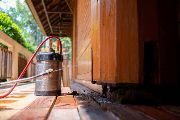 Best Affordable Exterminators  in Westbrook, ME